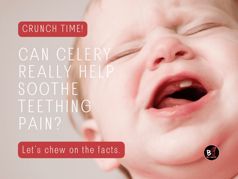 How celery can be a safe and soothing choice for babies.